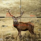 Swarovski dS 5-25x52 P GEN. II thumbnail