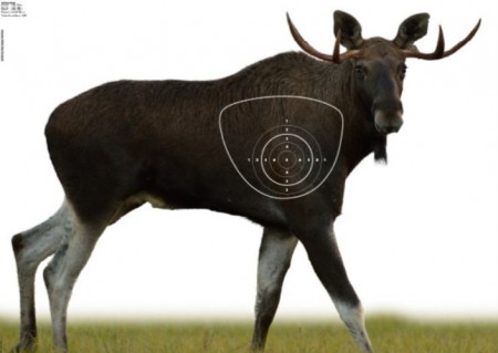 Elgokse - Poengskive 