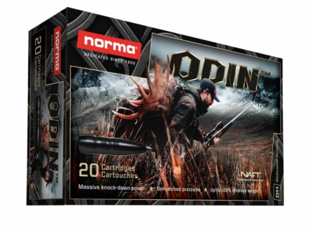 Norma Odin™ - 300 WIN MAG 11,7g/180 gr - 20stk