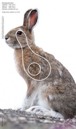 Hare - Jaktfeltskive 