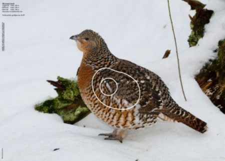 Røy - Jaktfeltskive 