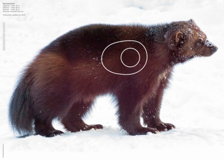 Jerv - Jaktfeltskive 