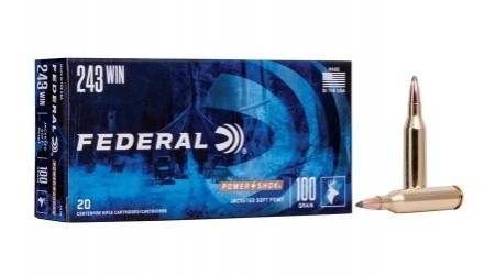 Federal 243 Power Shok 100grs - 20 stk 