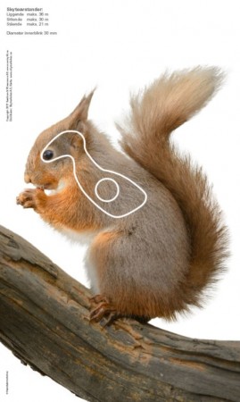 Ekorn - Jaktfeltskive 