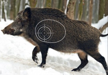 Villsvin - Poengskive 