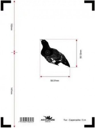 Accurize skive Tiur 5m