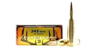 Federal 243Win Fusion 95grs SP - 20 stk